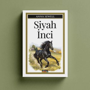 SİYAH İNCİ - Görsel 1